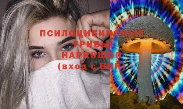 2c-b Алексеевка
