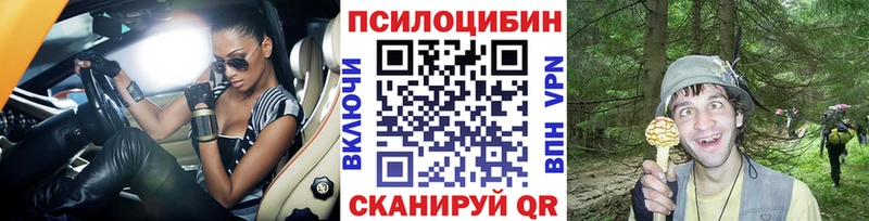 наркотики  Кропоткин  Галлюциногенные грибы Cubensis 